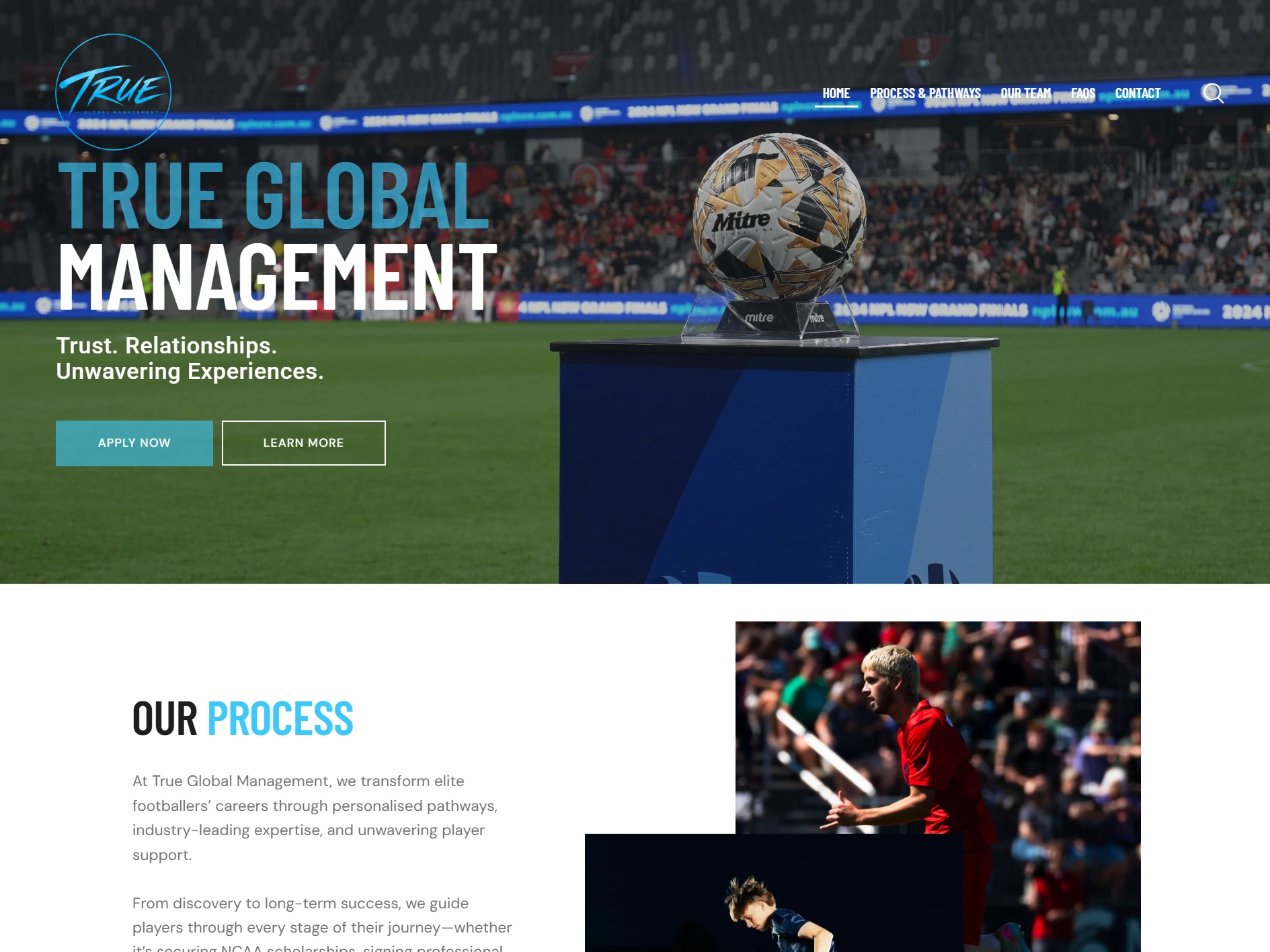 True Global Management website project preview